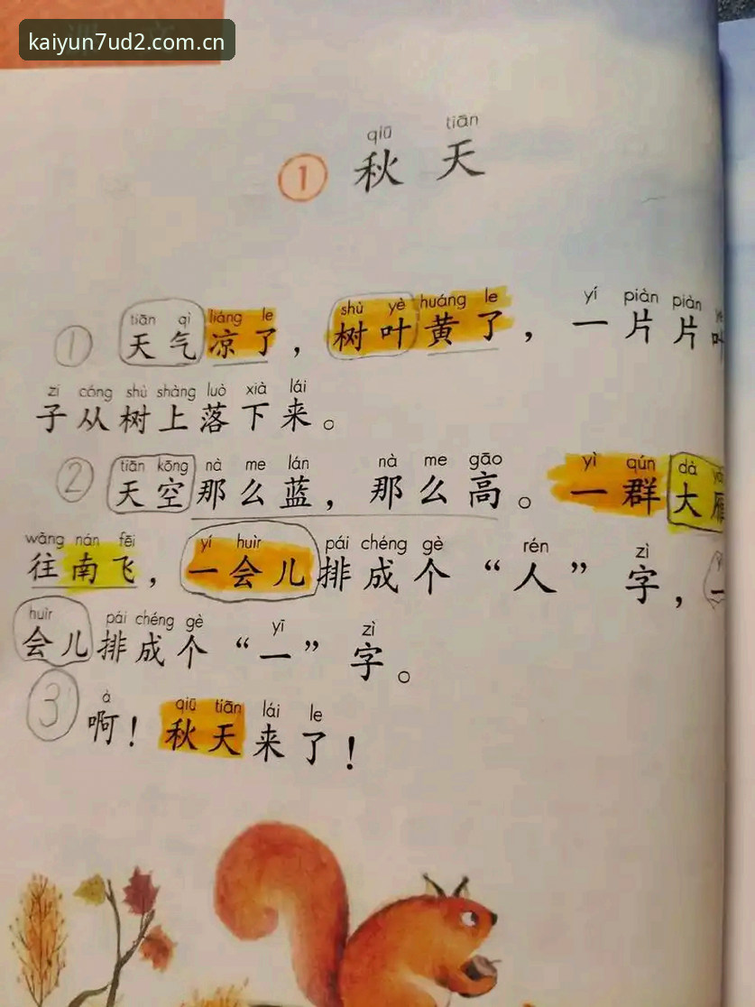 官方新表达拼音版下载手机版 官方新表达拼音版下载手机版 vs 网页版:选择困难者的实战对比指南